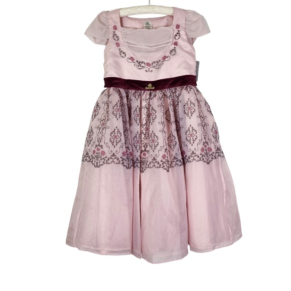 NWT Disney Sleeping Beauty Aurora Pink Adaptive Princess Dress Sz. XL